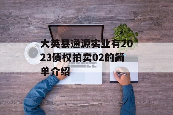 大英县通源实业有2023债权拍卖02的简单介绍