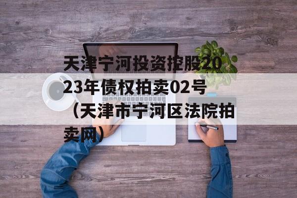 天津宁河投资控股2023年债权拍卖02号（天津市宁河区法院拍卖网）