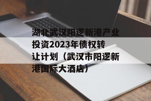 湖北武汉阳逻新港产业投资2023年债权转让计划（武汉市阳逻新港国际大酒店）