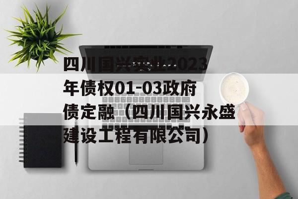 四川国兴实业2023年债权01-03政府债定融（四川国兴永盛建设工程有限公司）