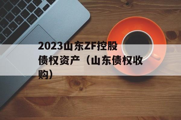 2023山东ZF控股债权资产（山东债权收购）