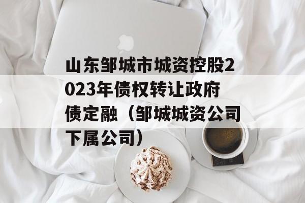 山东邹城市城资控股2023年债权转让政府债定融（邹城城资公司下属公司）