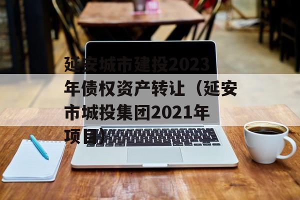 延安城市建投2023年债权资产转让（延安市城投集团2021年项目）