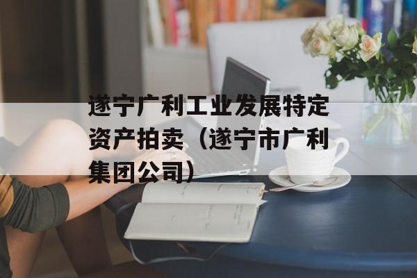 遂宁广利工业发展特定资产拍卖（遂宁市广利集团公司）