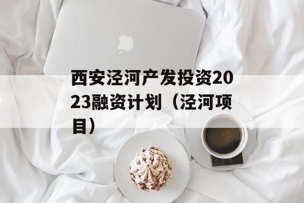 西安泾河产发投资2023融资计划（泾河项目）