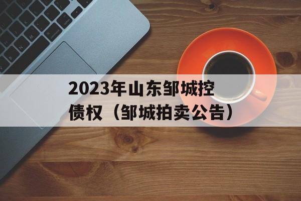 2023年山东邹城控债权（邹城拍卖公告）