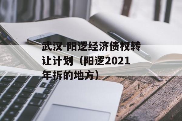 武汉-阳逻经济债权转让计划（阳逻2021年拆的地方）