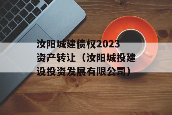 汝阳城建债权2023资产转让（汝阳城投建设投资发展有限公司）