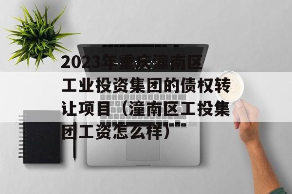 2023年重庆潼南区工业投资集团的债权转让项目（潼南区工投集团工资怎么样）