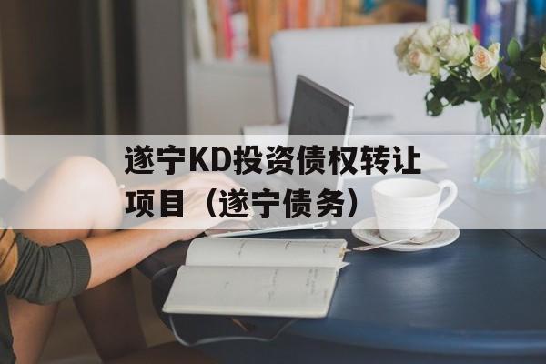 遂宁KD投资债权转让项目（遂宁债务）