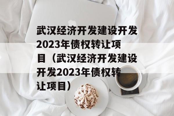 武汉经济开发建设开发2023年债权转让项目（武汉经济开发建设开发2023年债权转让项目）