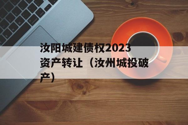 汝阳城建债权2023资产转让（汝州城投破产）