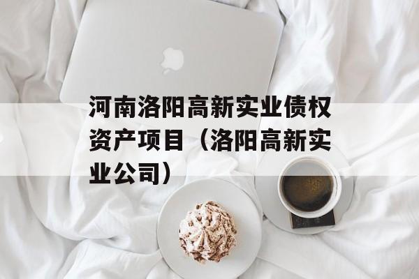 河南洛阳高新实业债权资产项目（洛阳高新实业公司）