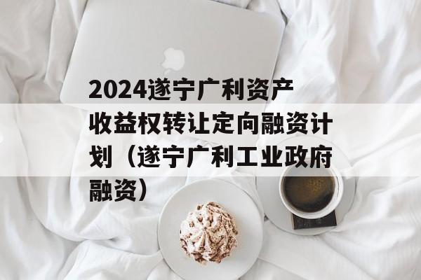 2024遂宁广利资产收益权转让定向融资计划（遂宁广利工业政府融资）