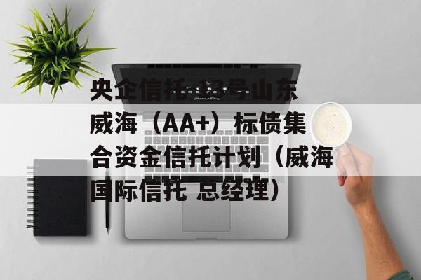 央企信托-13号山东威海（AA+）标债集合资金信托计划（威海国际信托 总经理）