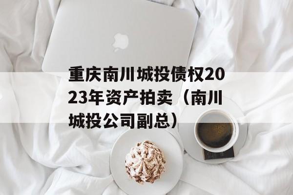 重庆南川城投债权2023年资产拍卖（南川城投公司副总）