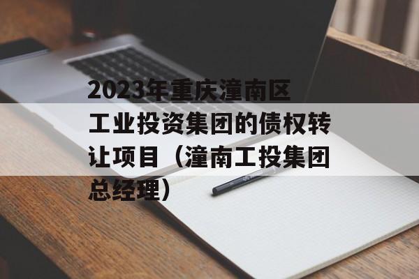 2023年重庆潼南区工业投资集团的债权转让项目（潼南工投集团总经理）