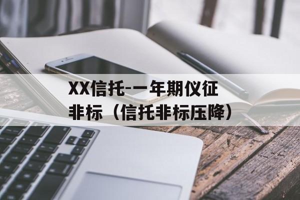 XX信托-一年期仪征非标（信托非标压降）