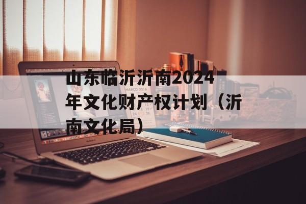 山东临沂沂南2024年文化财产权计划（沂南文化局）