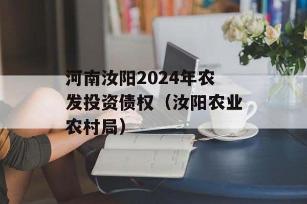 河南汝阳2024年农发投资债权（汝阳农业农村局）