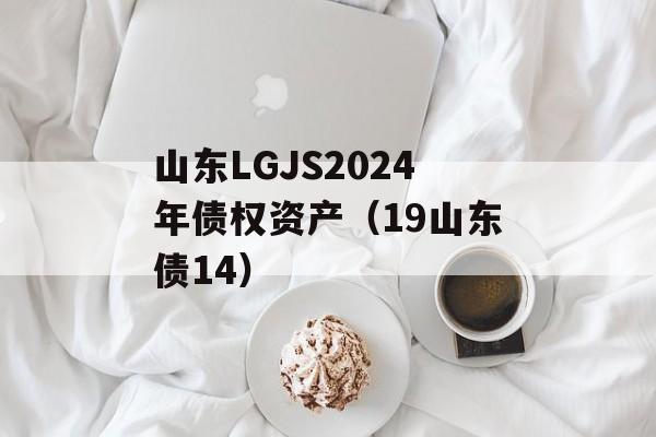 山东LGJS2024年债权资产（19山东债14）