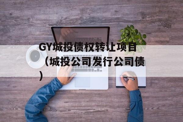 GY城投债权转让项目（城投公司发行公司债）