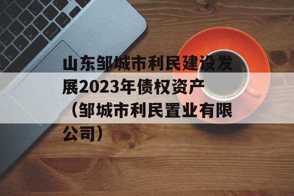 山东邹城市利民建设发展2023年债权资产（邹城市利民置业有限公司）