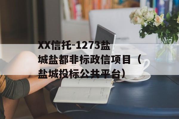 XX信托-1273盐城盐都非标政信项目（盐城投标公共平台）