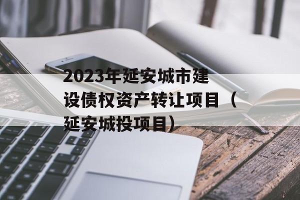 2023年延安城市建设债权资产转让项目（延安城投项目）