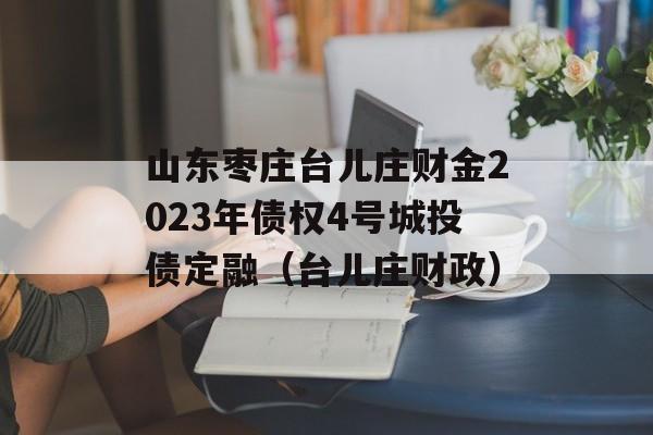 山东枣庄台儿庄财金2023年债权4号城投债定融（台儿庄财政）