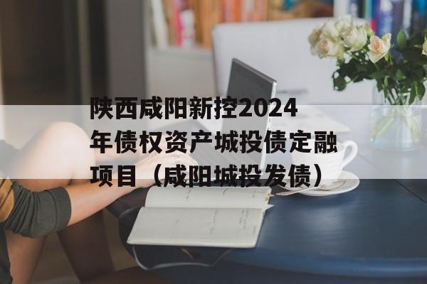 陕西咸阳新控2024年债权资产城投债定融项目（咸阳城投发债）