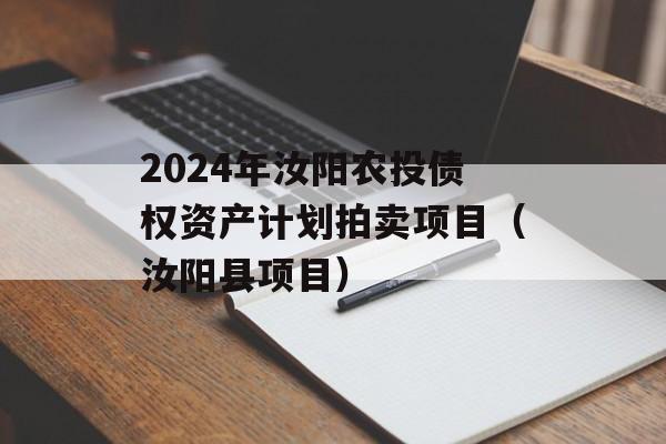 2024年汝阳农投债权资产计划拍卖项目（汝阳县项目）