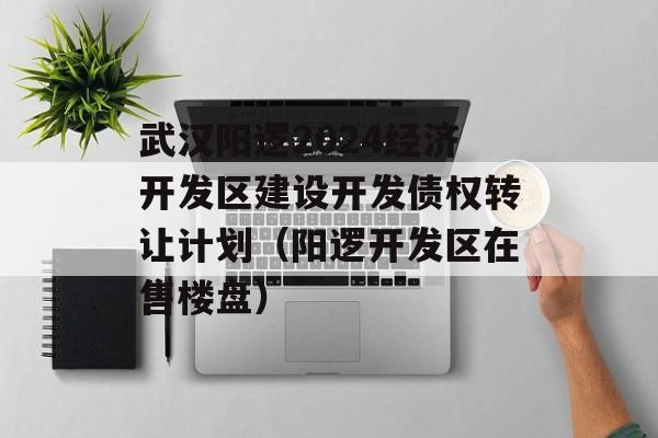 武汉阳逻2024经济开发区建设开发债权转让计划（阳逻开发区在售楼盘）