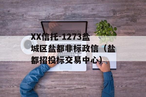 XX信托-1273盐城区盐都非标政信（盐都招投标交易中心）