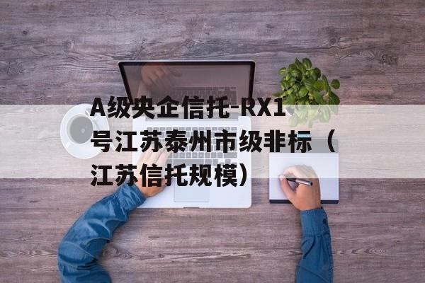 A级央企信托-RX1号江苏泰州市级非标（江苏信托规模）