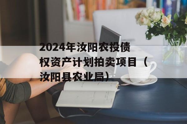 2024年汝阳农投债权资产计划拍卖项目（汝阳县农业局）