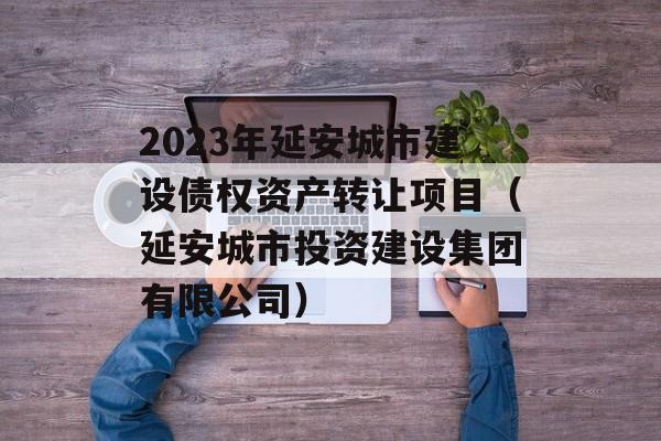 2023年延安城市建设债权资产转让项目（延安城市投资建设集团有限公司）