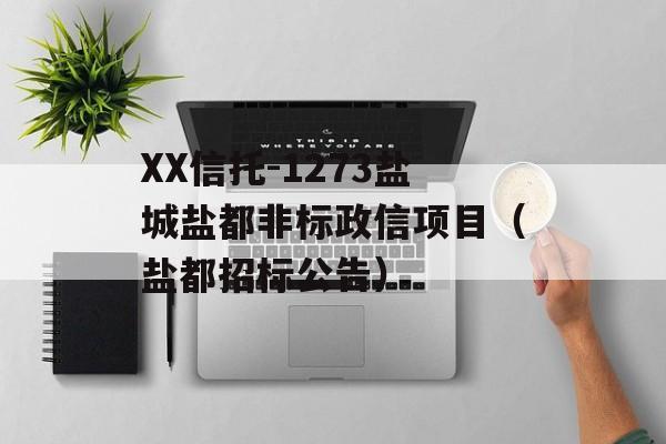 XX信托-1273盐城盐都非标政信项目（盐都招标公告）