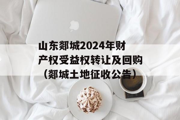 山东郯城2024年财产权受益权转让及回购（郯城土地征收公告）