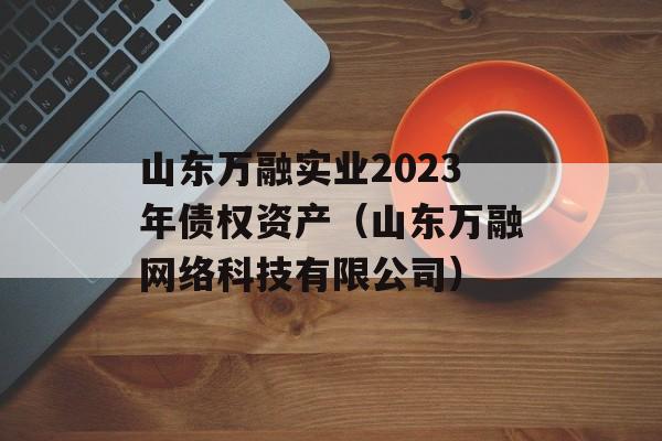 山东万融实业2023年债权资产（山东万融网络科技有限公司）