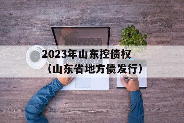 2023年山东控债权（山东省地方债发行）