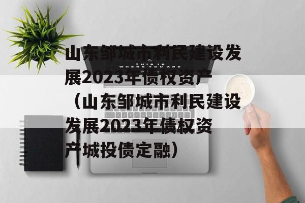 山东邹城市利民建设发展2023年债权资产（山东邹城市利民建设发展2023年债权资产城投债定融）