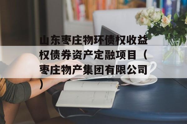 山东枣庄物环债权收益权债券资产定融项目（枣庄物产集团有限公司）