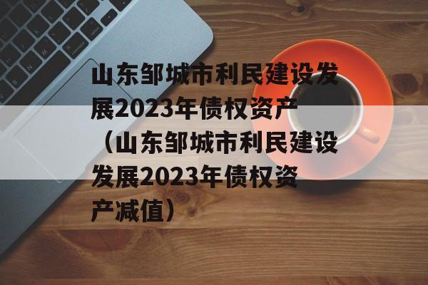 山东邹城市利民建设发展2023年债权资产（山东邹城市利民建设发展2023年债权资产减值）