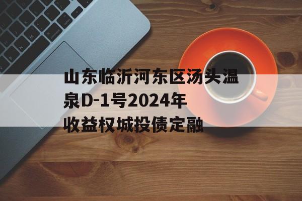 山东临沂河东区汤头温泉D-1号2024年收益权城投债定融