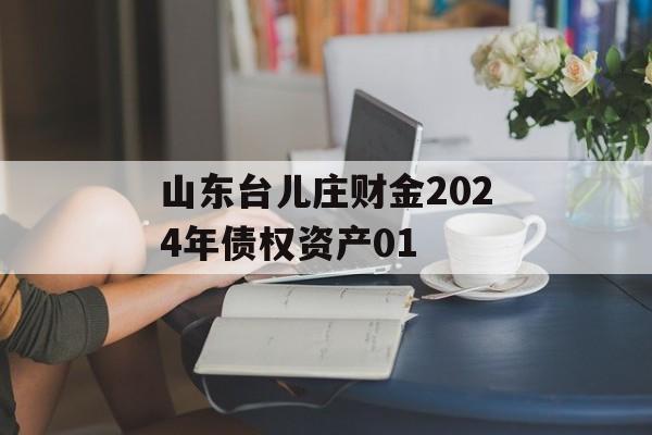 山东台儿庄财金2024年债权资产01