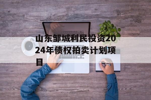 山东邹城利民投资2024年债权拍卖计划项目