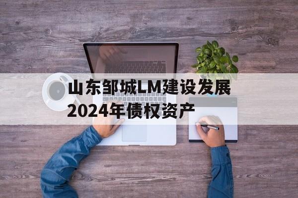 山东邹城LM建设发展2024年债权资产