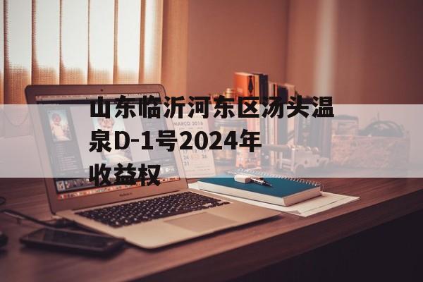 山东临沂河东区汤头温泉D-1号2024年收益权