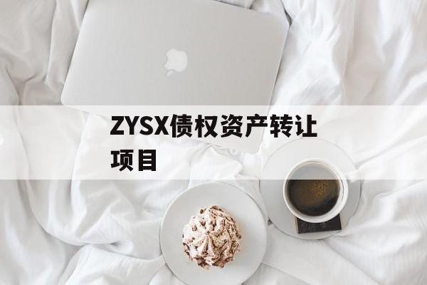 ZYSX债权资产转让项目